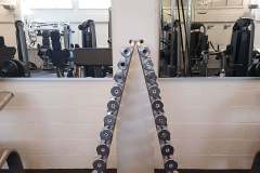 Hanteln im Zürich Gym
